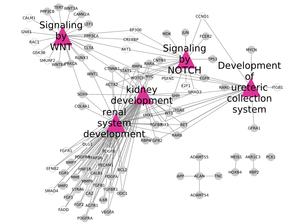 useCase2_RWRpathOfIntFig